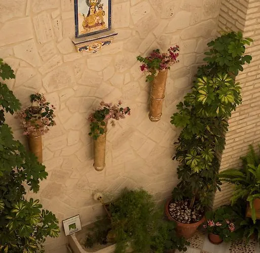 Apartmán De Momo *