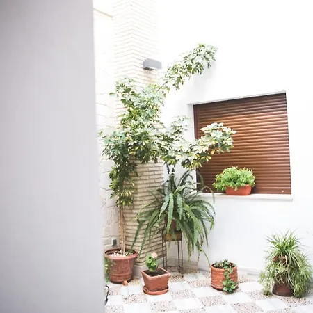 Posada De Momo Benamejí